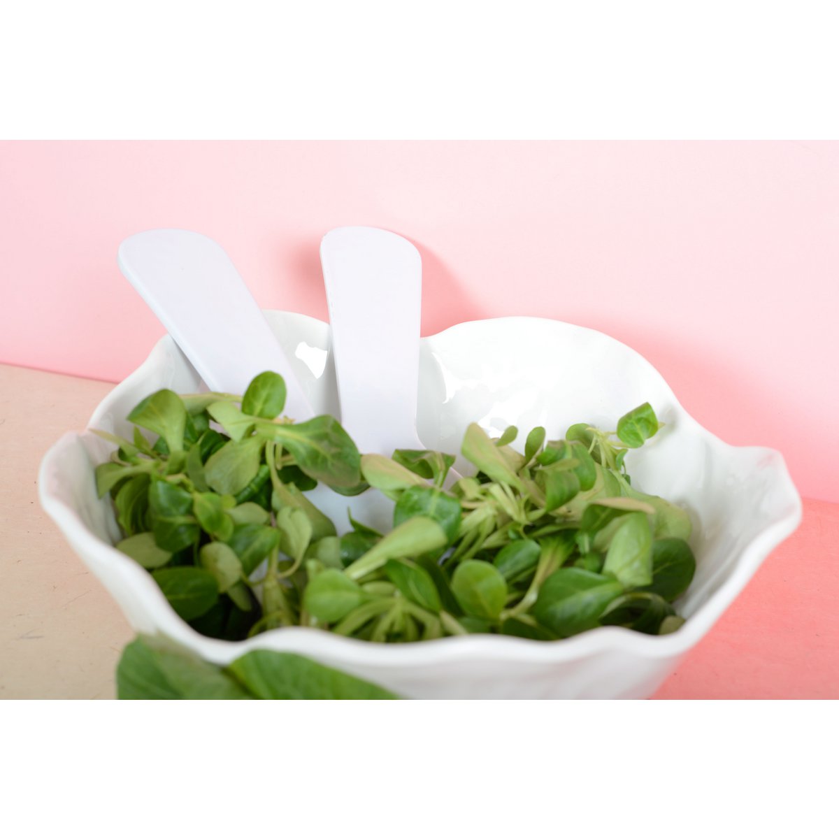 Weißer Salat deckt 27x9.5x1cm ab