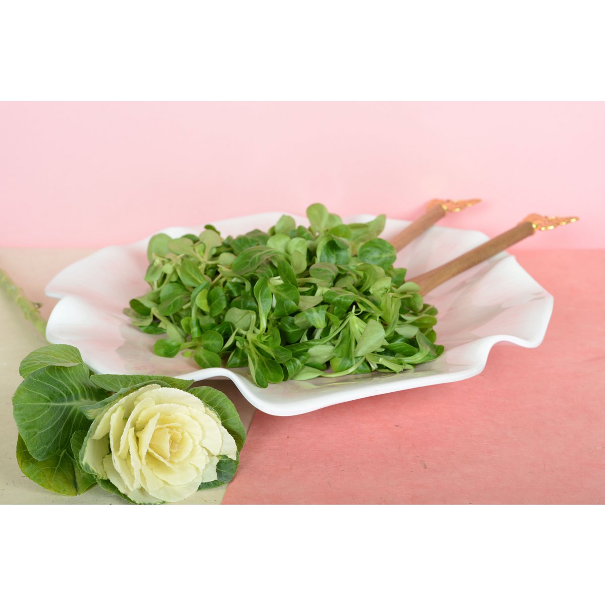Rose presentation plate in melamine 40x40x5cm